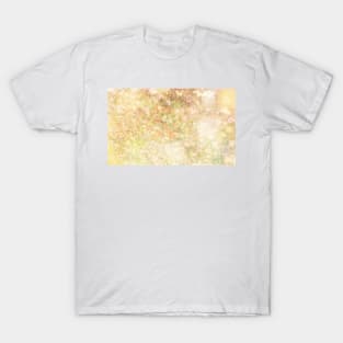 GOLD T-Shirt